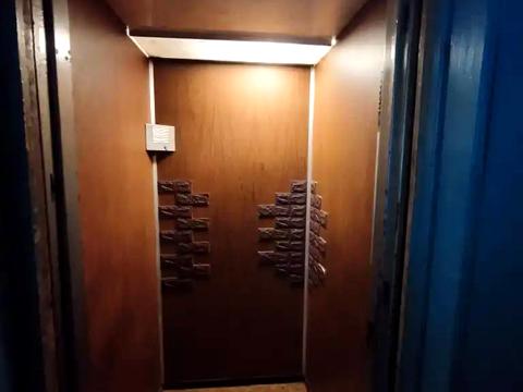 квартира по адресу Универсальная ул., 29