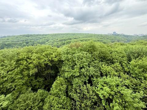квартира за адресою Львів, Жасминова вул., 5б