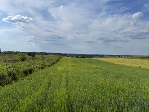 участок по адресу Ровно, масив Макарова