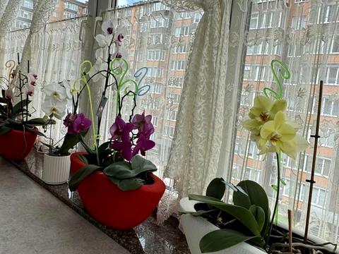квартира за адресою Львів, Івана Пулюя вул., 40, к. 4