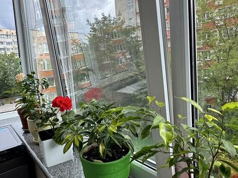 квартира за адресою Львів, Івана Пулюя вул., 40, к. 4