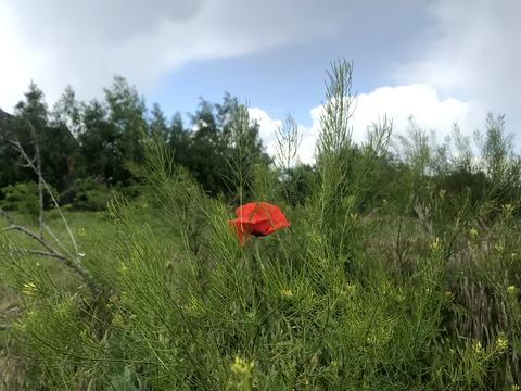 участок по адресу пгт. Таирово, Масив 20