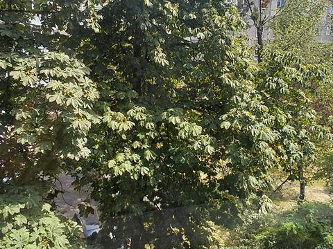 квартира за адресою Миру просп., 13-Б