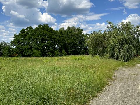 ділянка за адресою Жовтнева 34