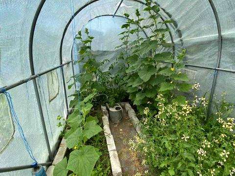 будинок за адресою провулок  Новий, 10