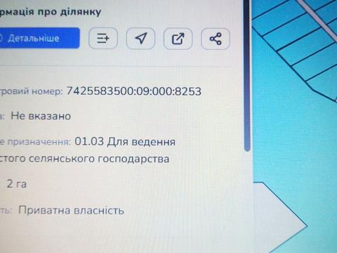 ділянка за адресою с. Брусилів, 
