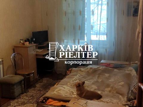 дом по адресу Скорохода ул. (Скорохода)