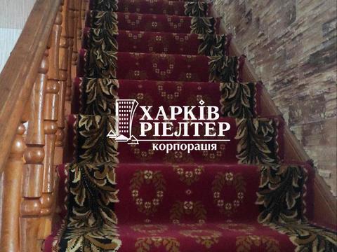 дом по адресу Скорохода ул. (Скорохода)