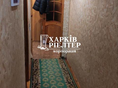дом по адресу Скорохода ул. (Скорохода)