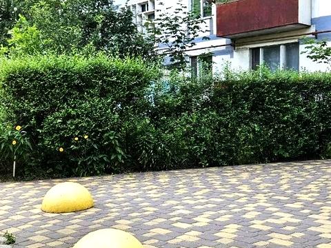квартира по адресу Бородинская ул., 11