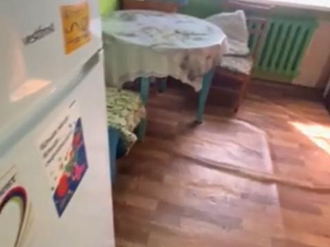 квартира за адресою Кам'янська вул., 38
