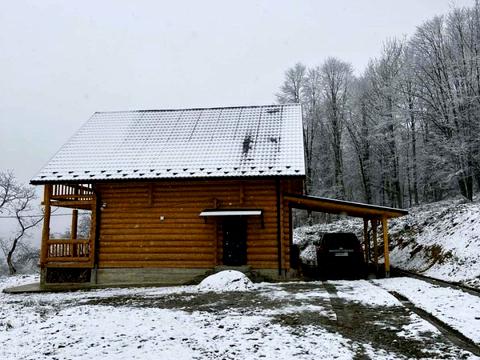 будинок за адресою с. Шешори, Шевченка