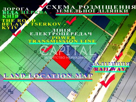 1868869085313616