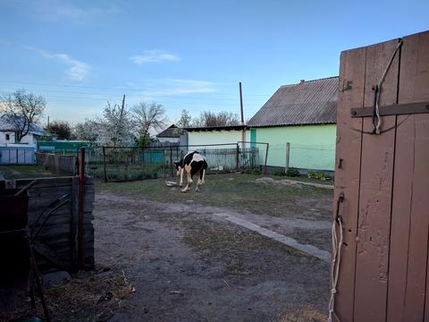 ділянка за адресою Центральна 100