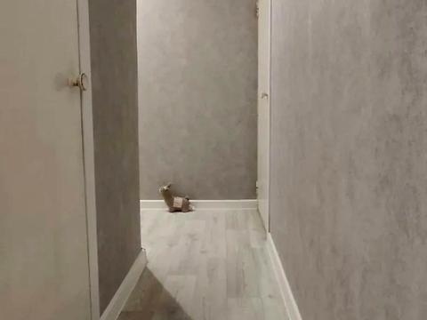 квартира за адресою Тракторобудівників просп., 89б