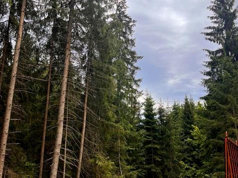 дом по адресу Карпатская ул.