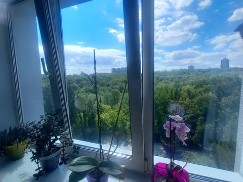 квартира по адресу Елены Телиги ул., 57
