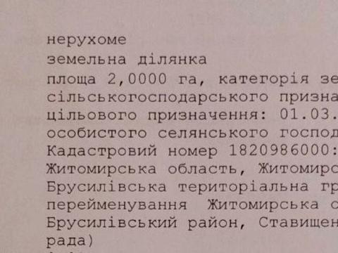 1868883071369813
