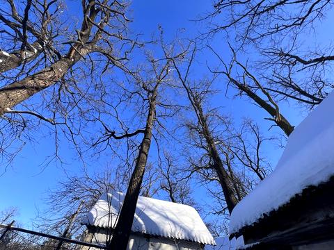 участок по адресу Матвія Донцова ул. (Тургеневская), 115