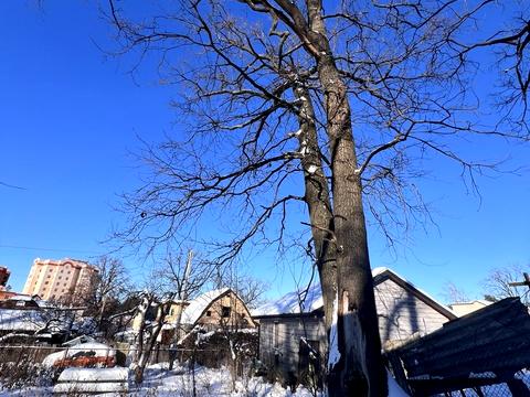 участок по адресу Матвія Донцова ул. (Тургеневская), 115