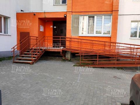 квартира по адресу Мира ул., 11-А