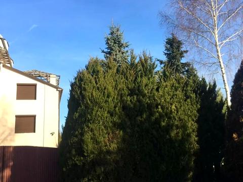 дом по адресу Незалежності, 17