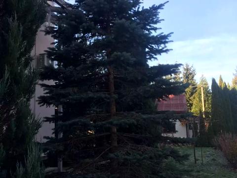 дом по адресу Незалежності, 17
