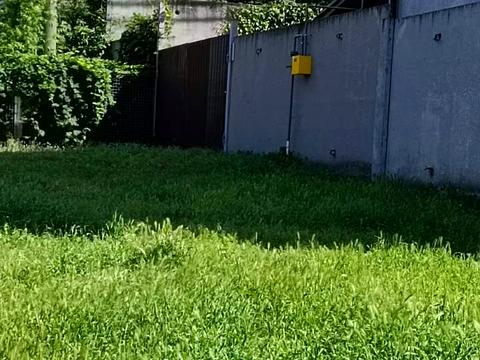 будинок за адресою Катерини Мессарош вул. (Пеліна), 29