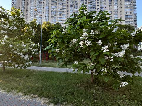 квартира за адресою Ованеса Туманяна вул., 15-А