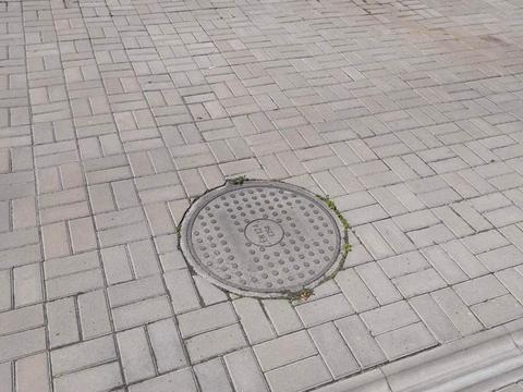 дом по адресу Веселкова, 1