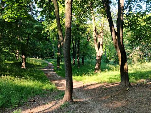 квартира за адресою Уманська вул., 37