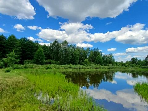 будинок за адресою вул. Гарна, 353