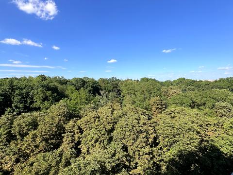 квартира за адресою Тернопіль, Чумацька вул., 2