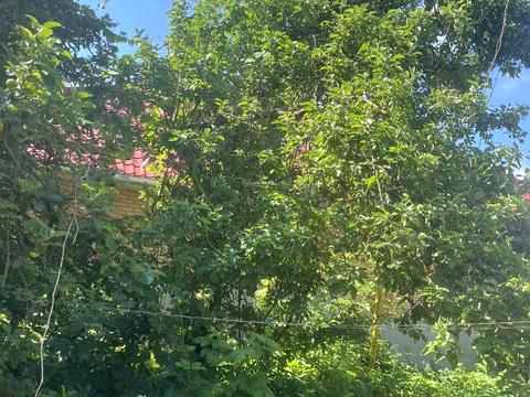 дом по адресу Травнева ул. (Першотравнева)