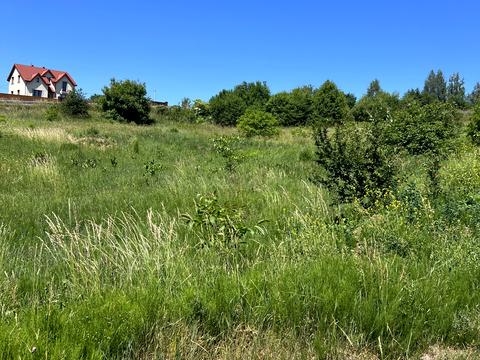 ділянка за адресою с. Старе Село, Зелена