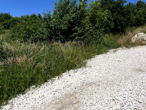 ділянка за адресою с. Старе Село, Зелена