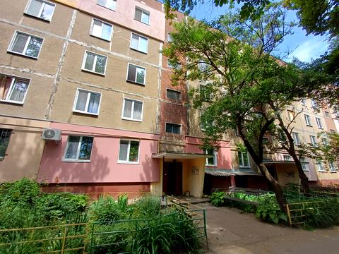 квартира за адресою Олександра Довженка вул. (Толстого), 152