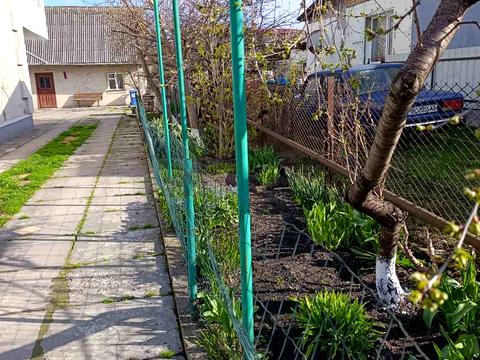 дом по адресу Шевченка, 38