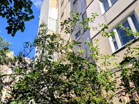 квартира за адресою Братства Тарасівців вул. (Декабристів), 9