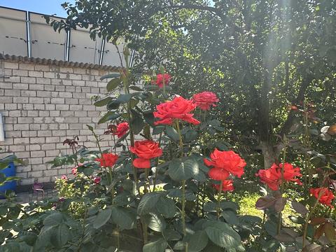 будинок за адресою Кам'янське (Дніпродзержинськ), 3-й провулок Кошевого Олега, 14