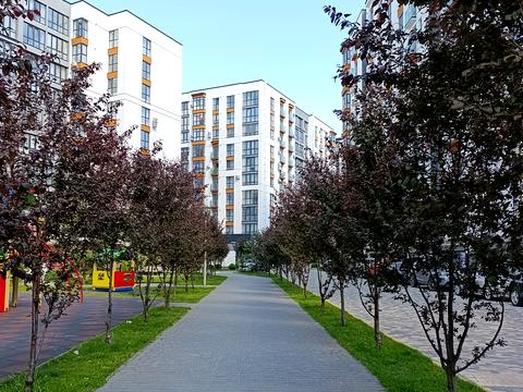 квартира за адресою Гетьмана Мазепи вул., 164, к6