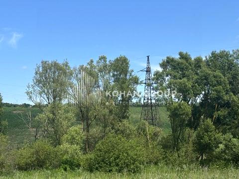 ділянка за адресою Заріччя
