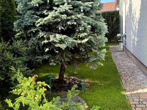 будинок за адресою Свободи вул., 28