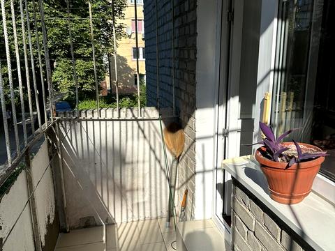 квартира за адресою Дністерська вул., 14а