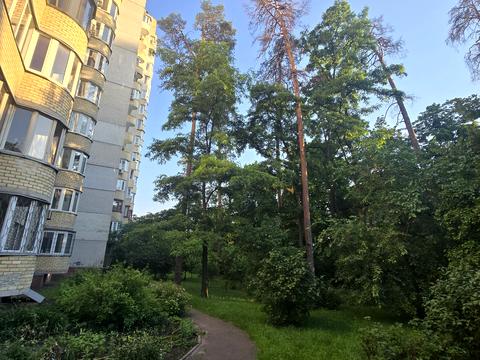 квартира по адресу Михаила Котельникова ул., 37