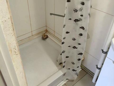 будинок за адресою Набережна вул.