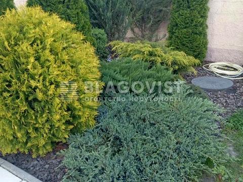 комерційна за адресою Івана Виговського вул. (Маршала Гречка), 4