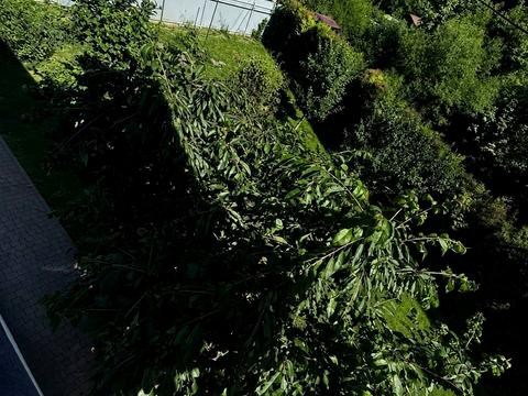 будинок за адресою Шашкевича Маркіяна вул.