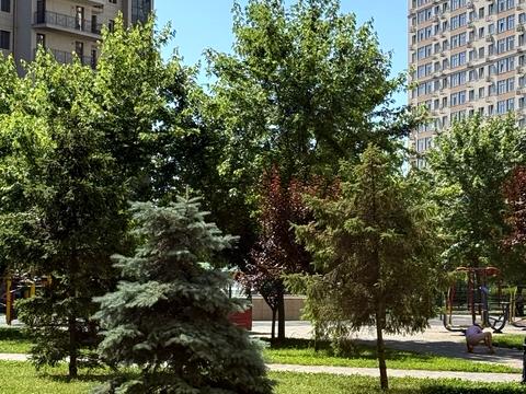 квартира за адресою Перлинна вул., 3