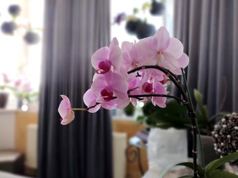 квартира за адресою Шкільна вул., 43
